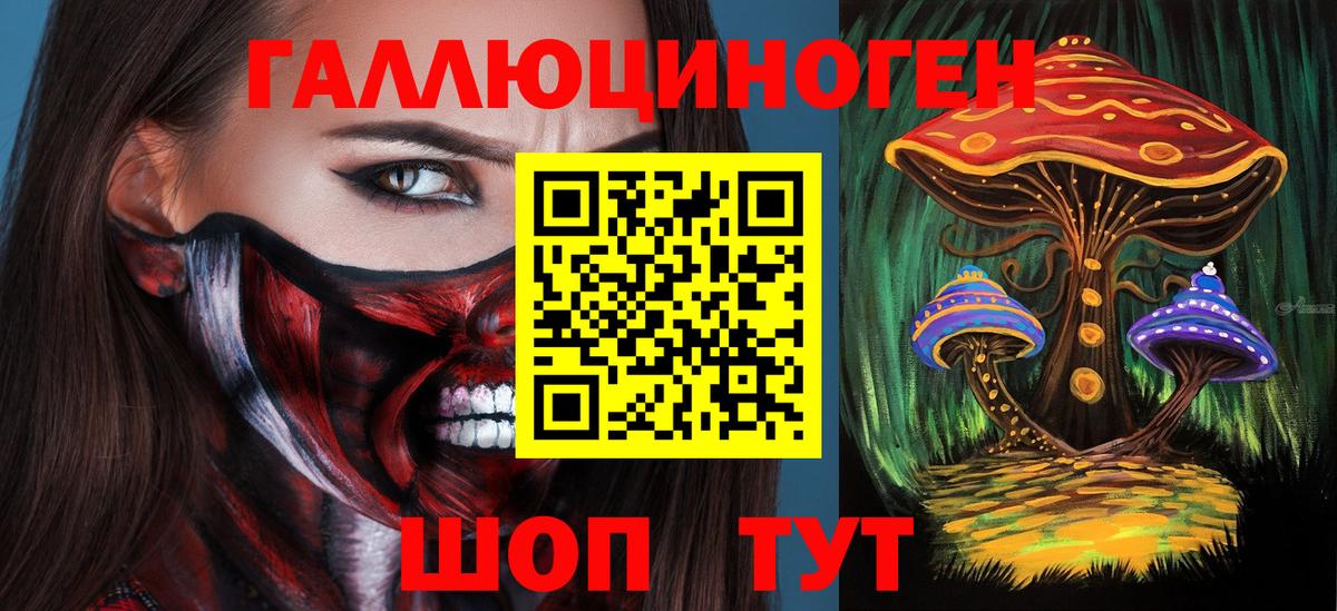 Псилоцибиновые грибы Psilocybine cubensis  Вход с VPN  Верхняя Пышма 