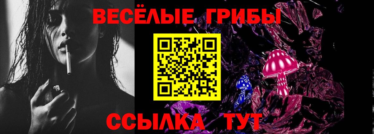 Галлюциногенные грибы мицелий Верхняя Пышма